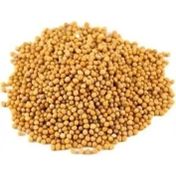 Dökme Baharat 250 gr Sarı Hardal Tohumu