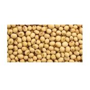Dökme Bakliyat 1 kg Soya Fasulyesi