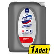 Domestos 5 lt Pro Çamaşır Suyu
