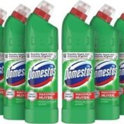 Domestos 6x750 ml Dağ Esintisi Çamaşır Suyu