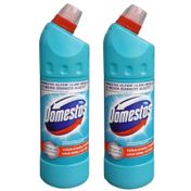 Domestos Okaliptüs Ferahlığı 2x750 ml Çamaşır Suyu
