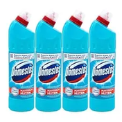 Domestos Okaliptus Ferahlığı 4x750 ml Çamaşır Suyu