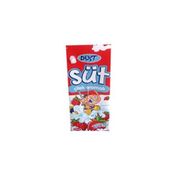 Dost 1.5 lt Çilekli Süt