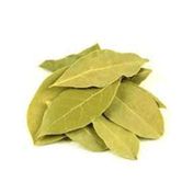 Duhala 100 gr Defne Yaprağı