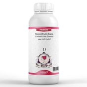 Elito 1 lt Premium Karamelli Latte Esansı