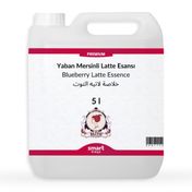 Elito 5 lt Premium Yaban Mersinli Latte Esansı