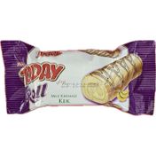 Elvan 70 gr Today Roll Muzlu Kek