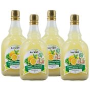 Emr Kervan 4x1 lt Zencefil İlaveli Limon Sarımsak Maydonoz Kürü