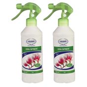 Ersağ 2x500 ml Özel Formüllü Oda Spreyi