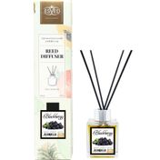 Esved 100 ml Böğürtlen Kokusu Çubuklu Oda Kokusu