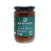 Evrenyeden 900 gr Çam Balı Ham Bal