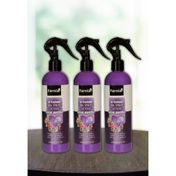 Farnia 3x350 ml Aşk Egzotik Oda Spreyi
