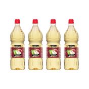Fersan 4x1 lt Elma Sirkesi