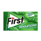 First 29,7 gr Nane Aromalı Sakız