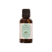 Fitodrop 10 ml Kekik Uçucu Yağı