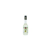 Fo 700 ml Bahçe Nanesi Aromalı Kokteyl Şurup