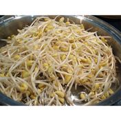 Foodco 425 gr Soya Filizi
