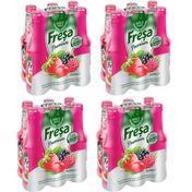 Freşa 250 ml Premium Orman Meyveli Soda