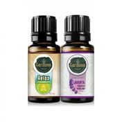 Gardone 2x10 ml Dağ Esintisi Ortam Koku Seti