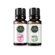 Gardone 2x10 ml Ekin Esintisi Ortam Koku Seti