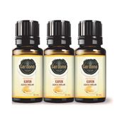 Gardone 3x10 ml Kavun Uçucu Yağı Buhurdanlık Ortam Kokusu