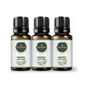Gardone 3x10 ml Okaliptüs Uçucu Yağı Buhurdanlık Ortam Kokusu