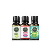 Gardone 3x10 ml Torosların Esintisi Ortam Koku Seti