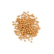 Gaziantep Pazarı 1 kg Çıtır Leblebi