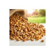 Gaziantep Pazarı 1 kg Mısır Kavurgası