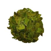 Gıda hammaddeleri 1 kg Yaprak Cinnema