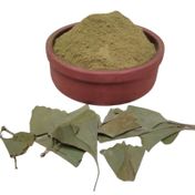 Gingko Biloba 50 gr Yaprak Tozu