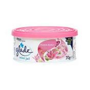 Glade 70 gr Manolya Mini Jel Oda Kokusu