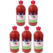 Gloria 5x474 ml Acı Sos