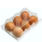 Gordo Organik M 6'lı 53-62 gr Yumurta