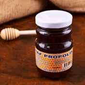 Gurmepark 250 gr Saf Propolis