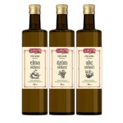 Gurvita Organik Sirke Seti 500 Ml 3' Lü