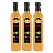 Hanzade Bitkisel 3x500 ml Enginar Sirkesi