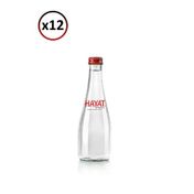 Hayat 330 ml Cam Şişe Su