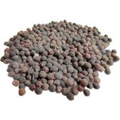 Hazal Baharat 1 kg Organik Dökme Bamya Tohumu