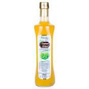 Hekimhan 500 ml Enginar Sirkesi