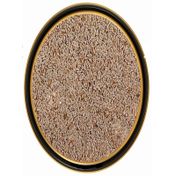 Heybeli Aktar Baharat 250 gr Karnıyarık Otu Tohumu