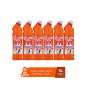 Hypo 6x750 gr Çam Tazeliği Gider Açıcı Çamaşır Suyu