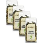 İstanbul Baharat Cinnema (gurmar Otu) 4x30 Gr