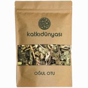Katkı Dünyası 50 gr Oğul Otu