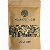 Katkı Dünyası 500 gr Oğul Otu