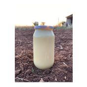 Kilis Yöresel Ürünler 1 kg Kilis Organik Sarı Sadeyağ