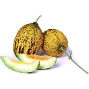 Kırkağaç Kavun