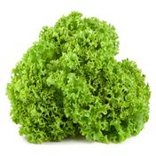 Kıvırcık Marul (Adet)