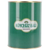 Köyceğiz 4,85 kg Teneke Çam Balı