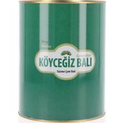 Köyceğiz Balı 4850 gr Teneke Çam Balı